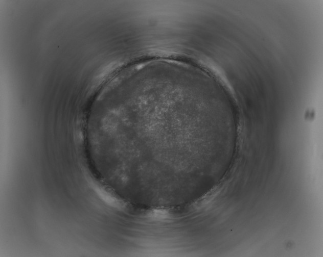 X0000091950114200709271334