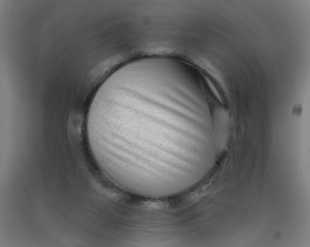 X0000091950115200709271334