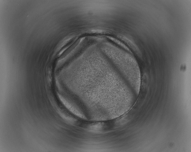 X0000091950116200709271334