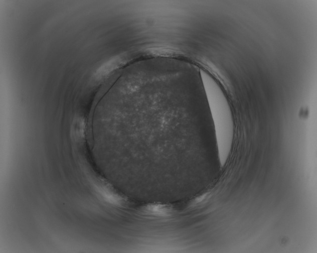 X0000091950117200709271334