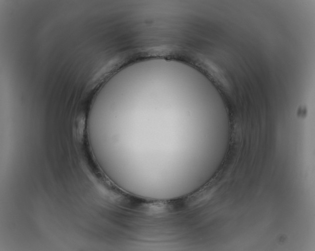 X0000091950118200709271334