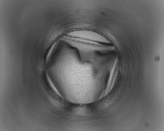 X0000091950119200709271334