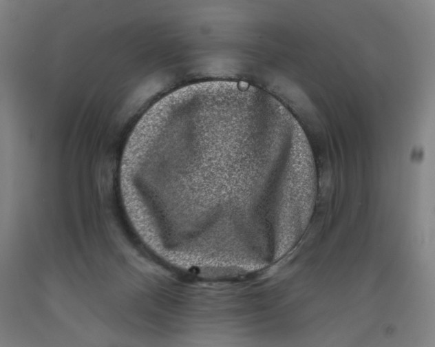 X0000091950120200709271334