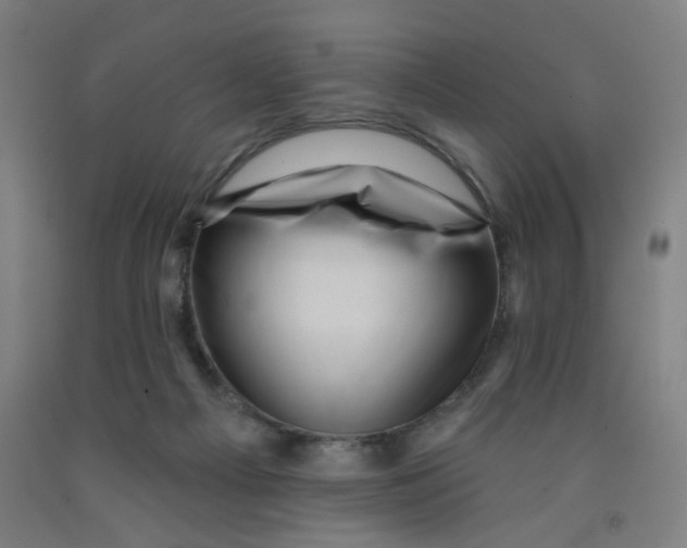 X0000091950121200709271334