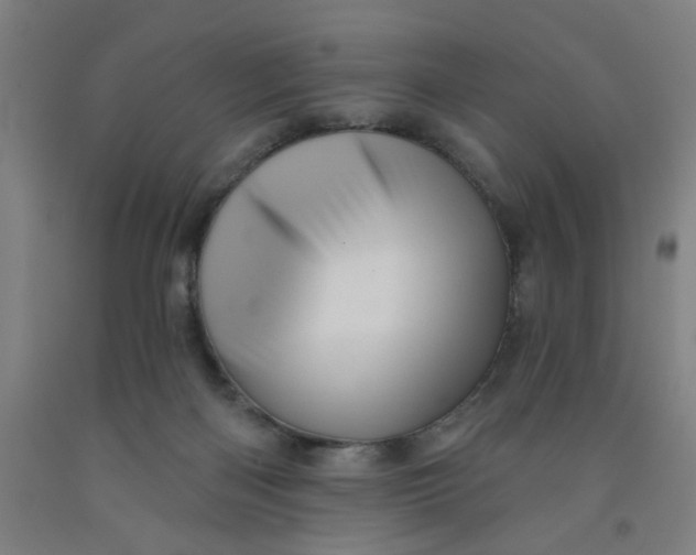 X0000091950122200709271333