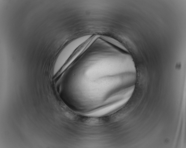 X0000091950123200709271333