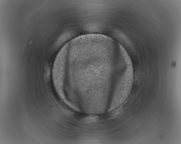 X0000091950124200709271333