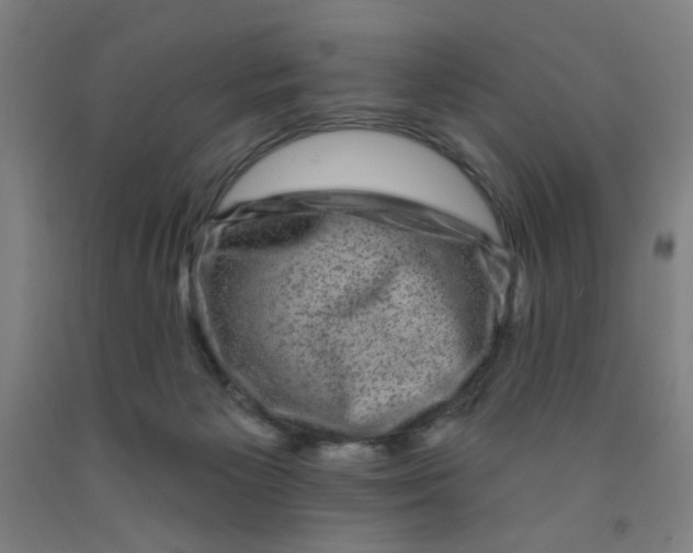 X0000091950125200709271333