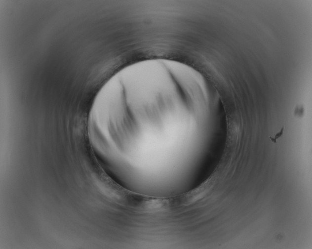 X0000091950126200709271333