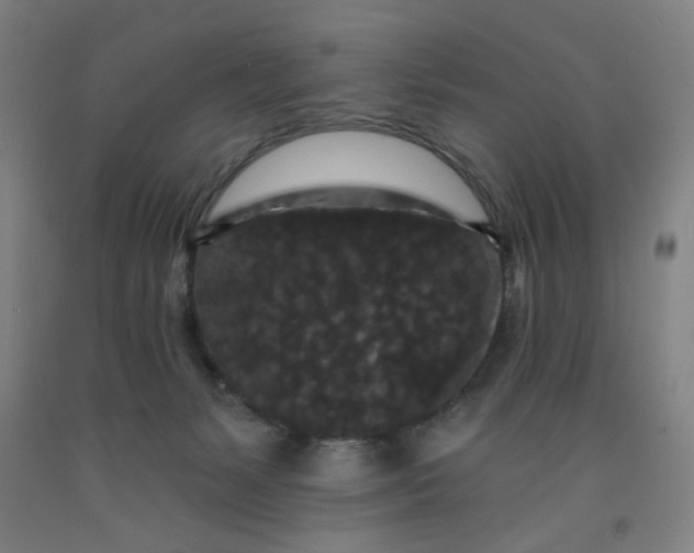 X0000091950127200709271333