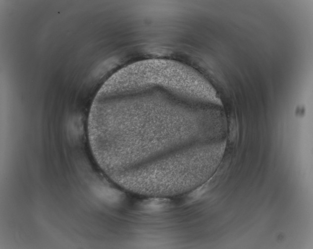 X0000091950128200709271333