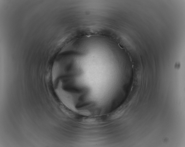 X0000091950129200709271333