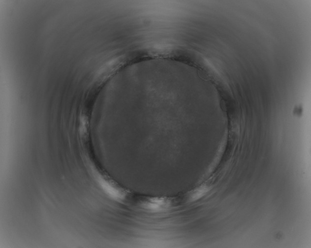 X0000091950130200709271333