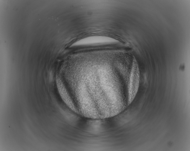 X0000091950131200709271333