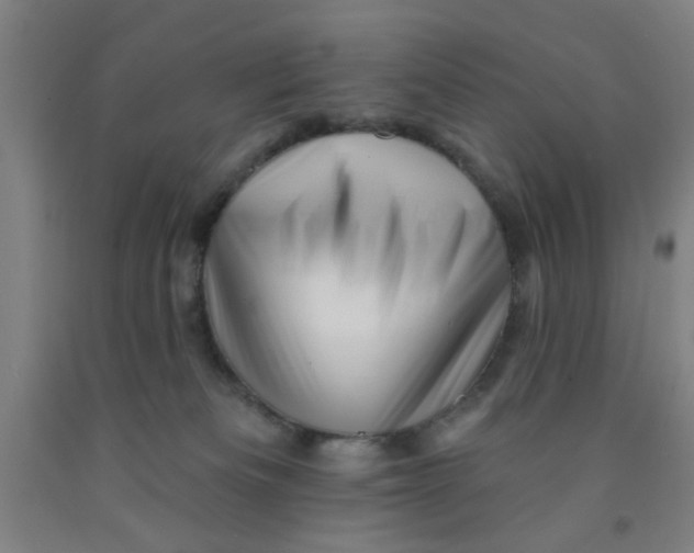 X0000091950133200709271333