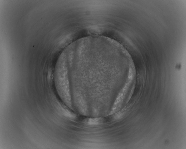 X0000091950134200709271333