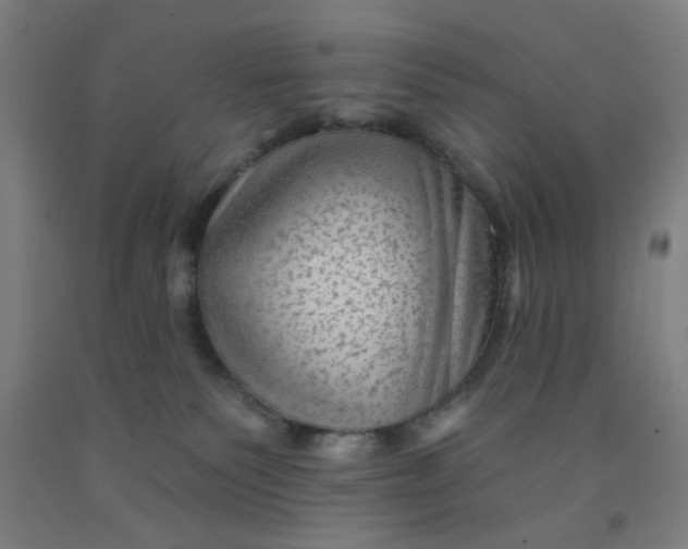 X0000091950135200709271333