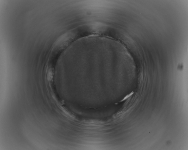 X0000091950137200709271333