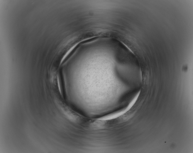 X0000091950138200709271333