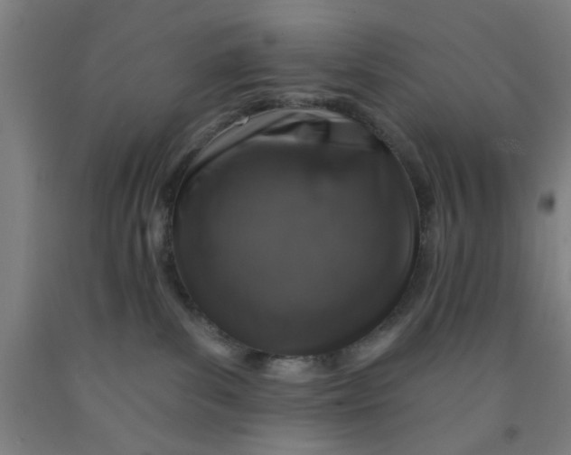 X0000091950139200709271333