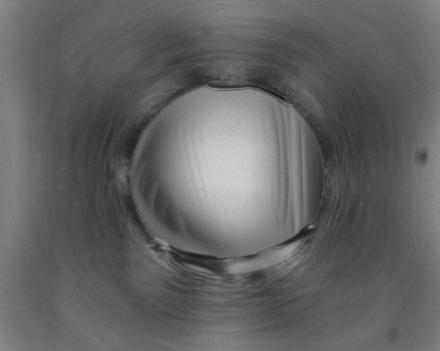 X0000091950141200709271333