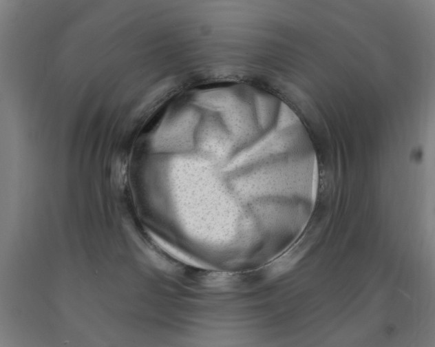 X0000091950142200709271333