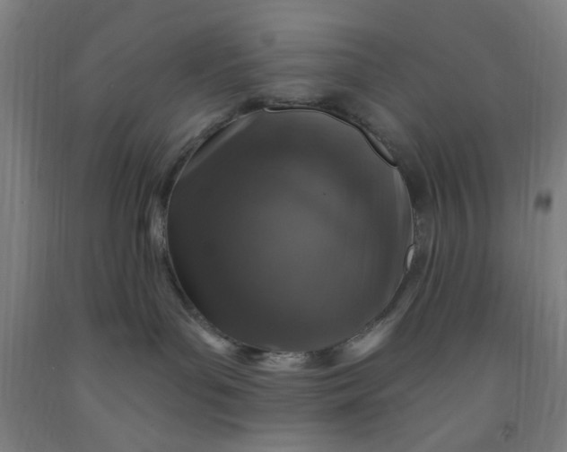 X0000091950143200709271333