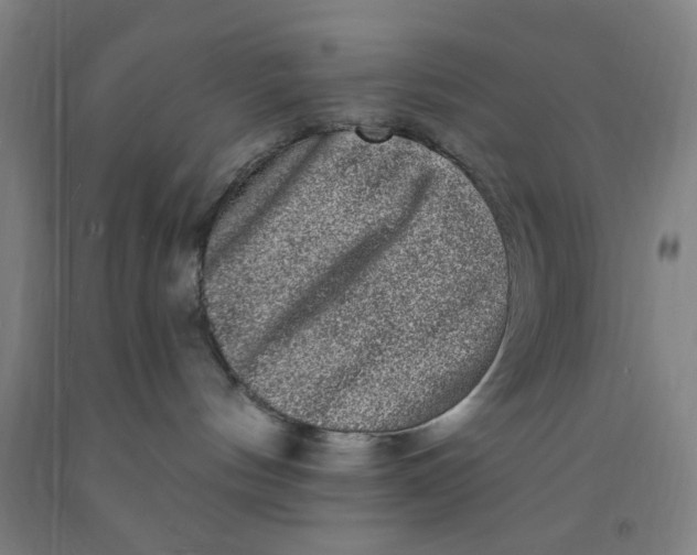 X0000091950144200709271333