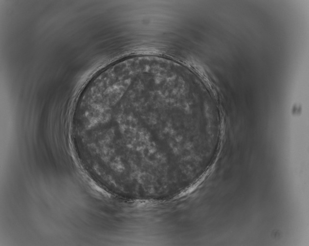 X0000091950145200709271332