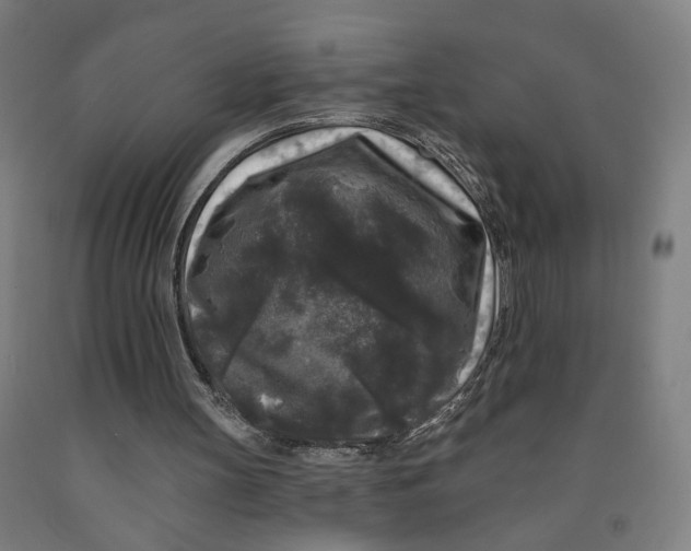 X0000091950147200709271332