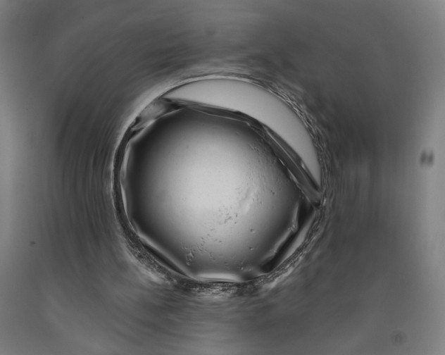 X0000091950148200709271332