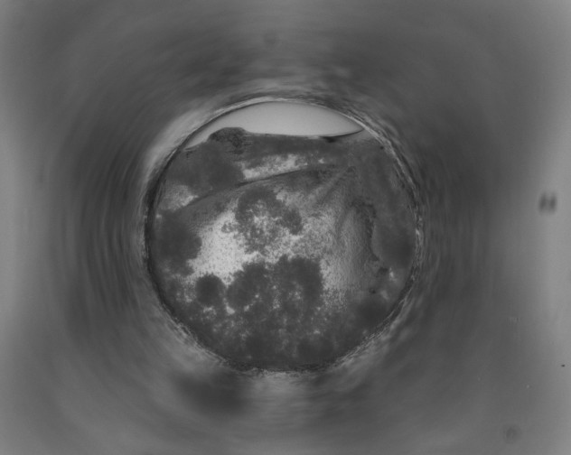 X0000091950149200709271333