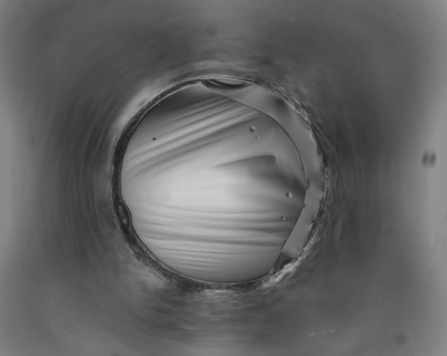 X0000091950150200709271333