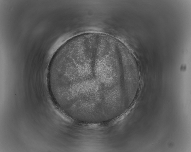 X0000091950151200709271333