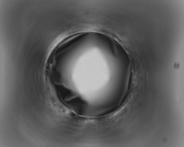 X0000091950152200709271333