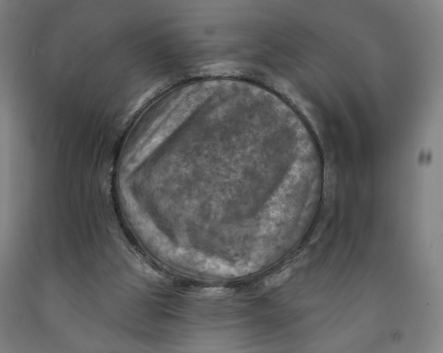 X0000091950153200709271333