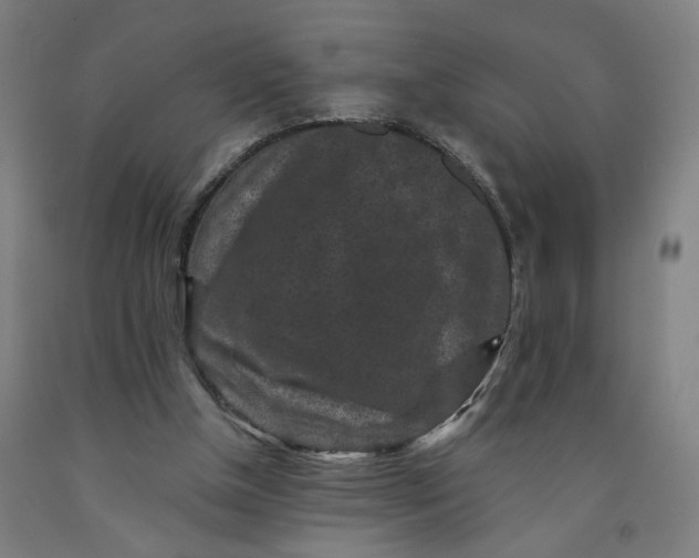 X0000091950154200709271333