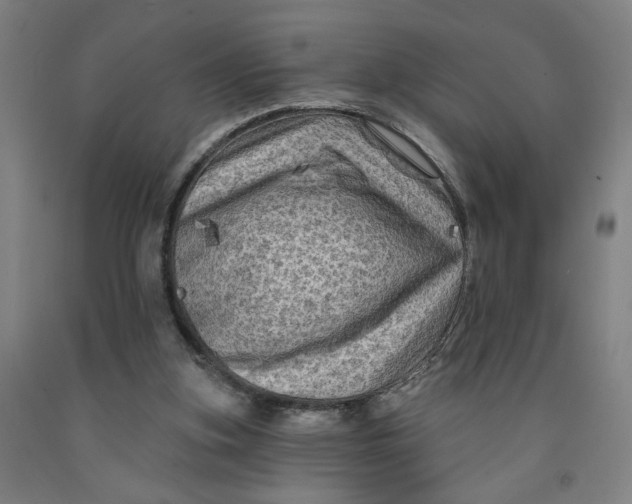 X0000091950155200709271333