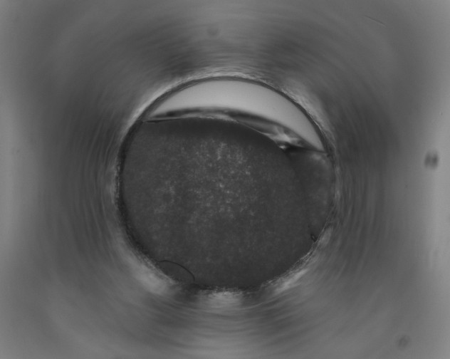 X0000091950156200709271333