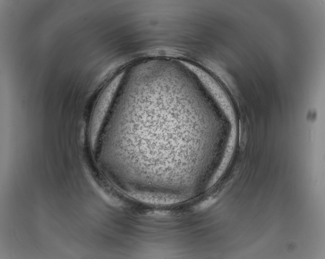 X0000091950157200709271333