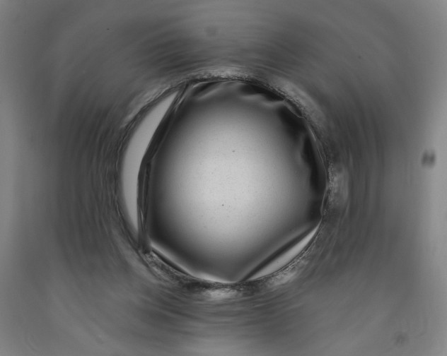 X0000091950158200709271333