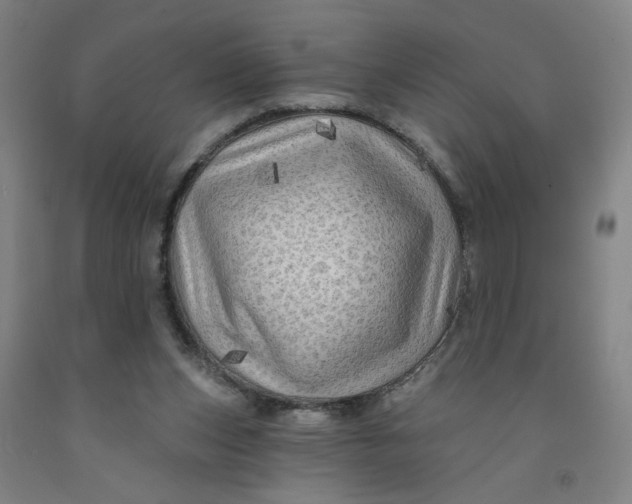 X0000091950159200709271333