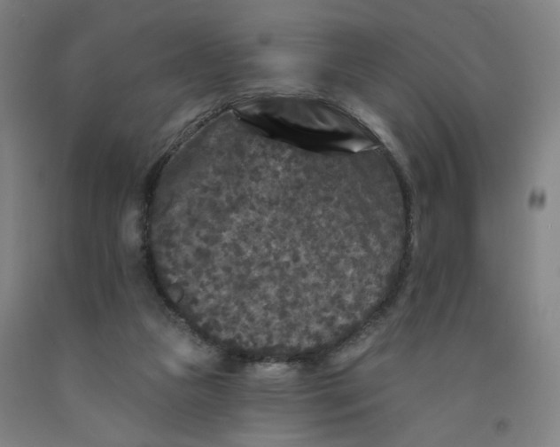 X0000091950161200709271333