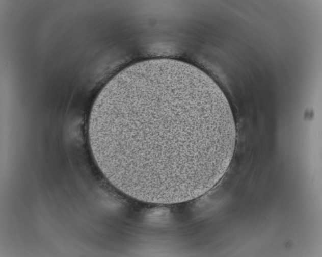 X0000091950162200709271333