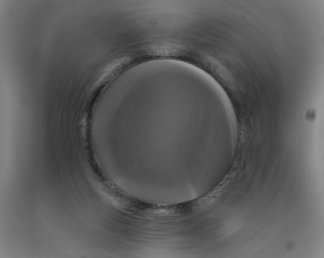 X0000091950163200709271333