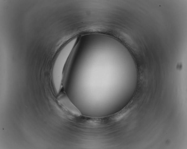 X0000091950164200709271333