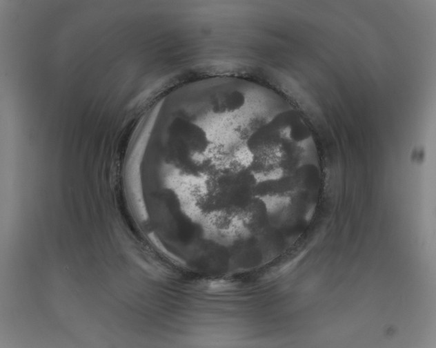 X0000091950165200709271333