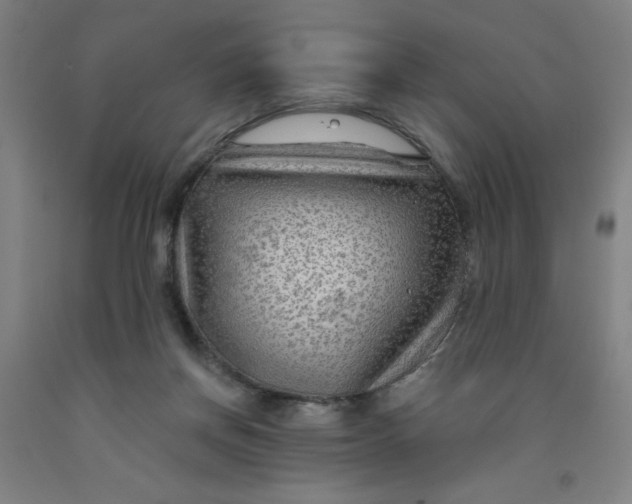 X0000091950166200709271333