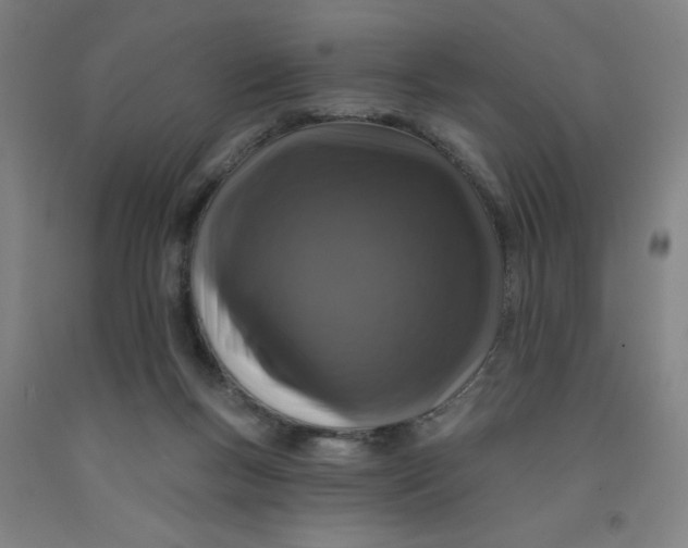 X0000091950167200709271333