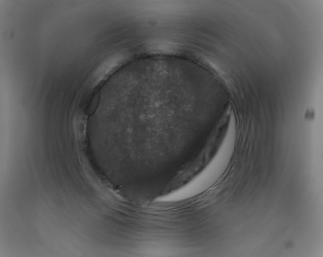 X0000091950168200709271333